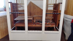 orgel in opbouw