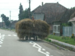 Boerenwagen afgeladen met hooi